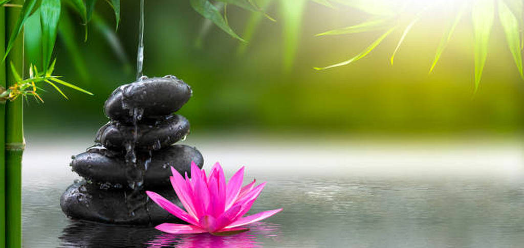 Die heilende Kraft der Berührung: Die Vorteile der Massage-Therapie erkunden