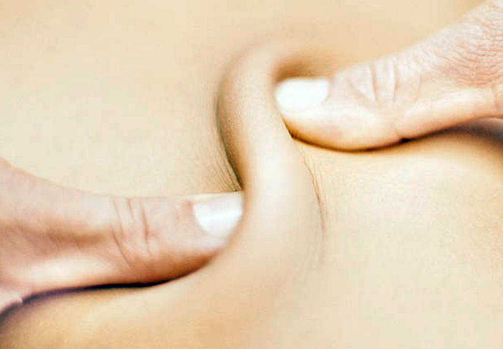 Zweiköpfiger Schenkelmuskel (Biceps femoris)